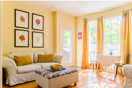 All about curtains: Everything You Need to Know