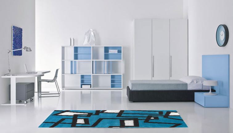 Rugs in Style 2024